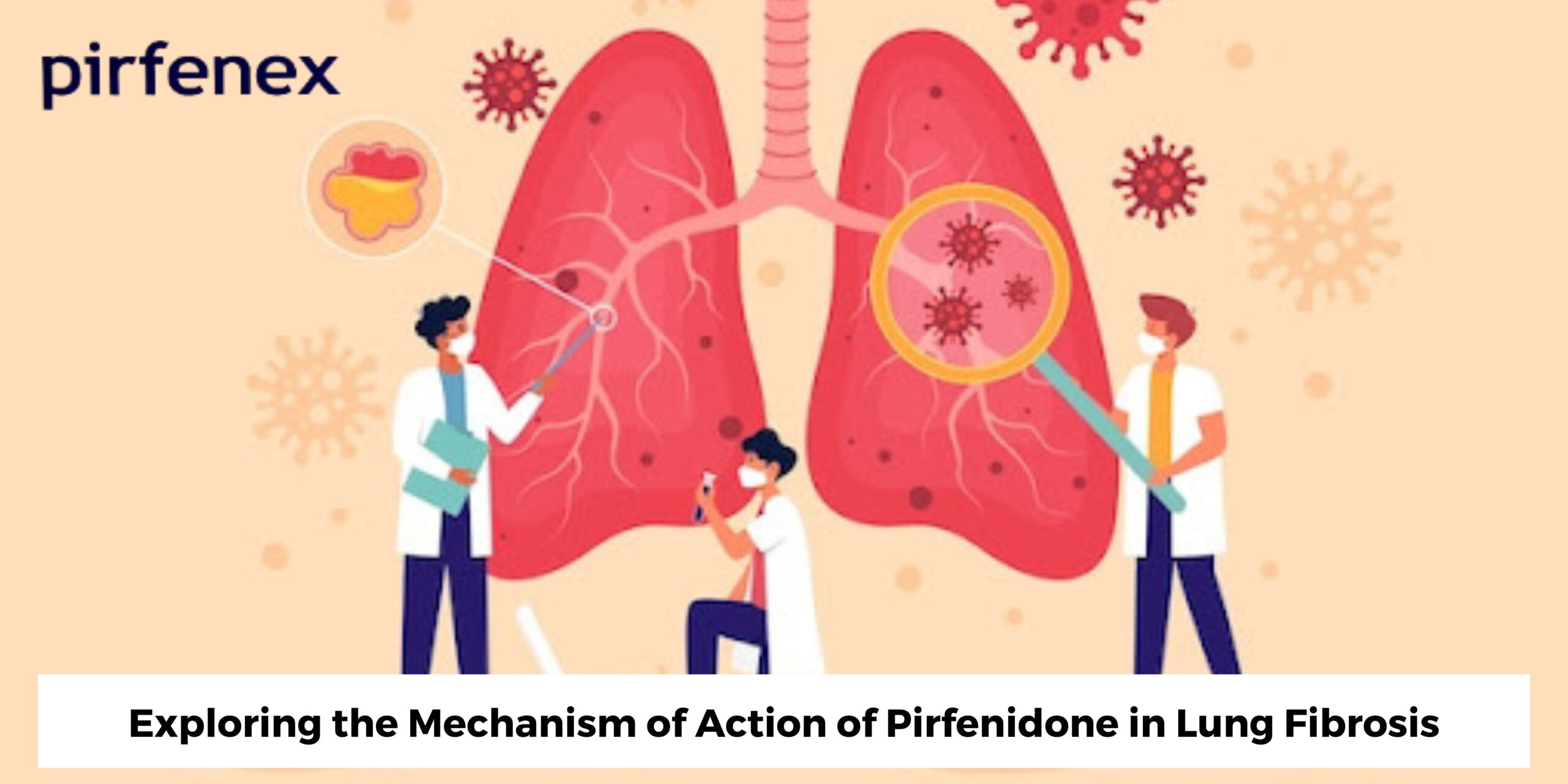 Exploring the Mechanism of Action of Pirfenidone in Lung Fibrosis